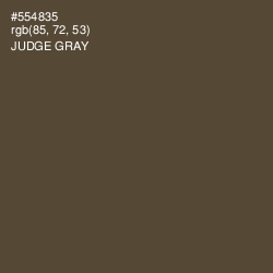 #554835 - Judge Gray Color Image